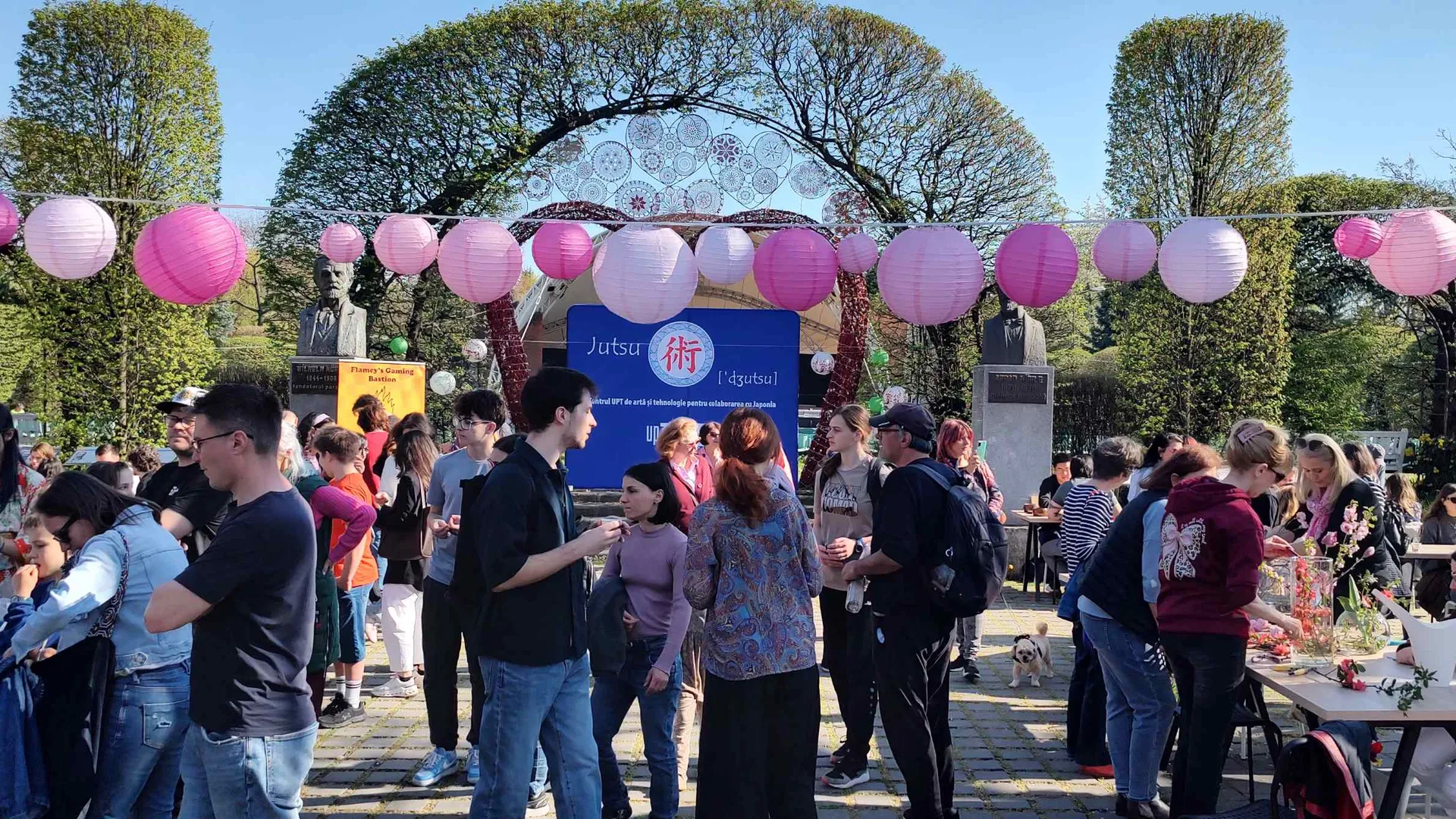 Hanami la Timișoara: florile de cireș au unit două culturi