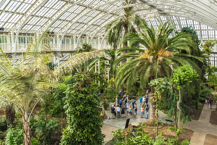 Asociația Grădinii Botanice Timișoara - un pas important pentru dezvoltarea unui proiect verde, inovator și autosustenabil în orașul nostru